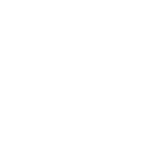 brain icon