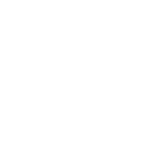 budget icon