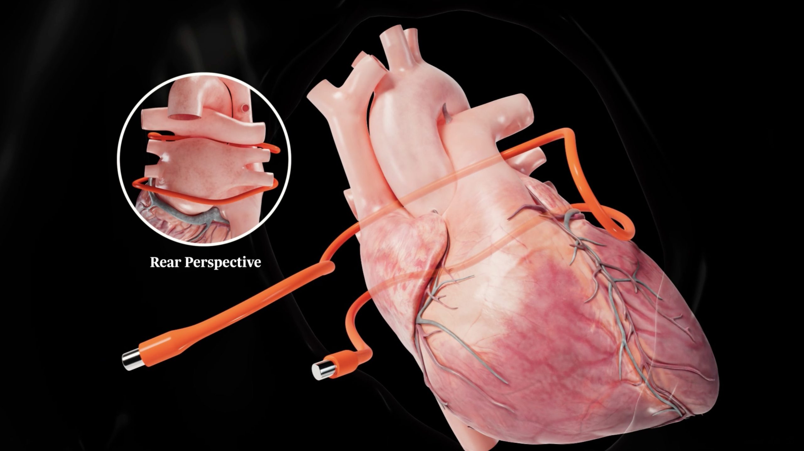 digital learning module showing elearning for healthcare
